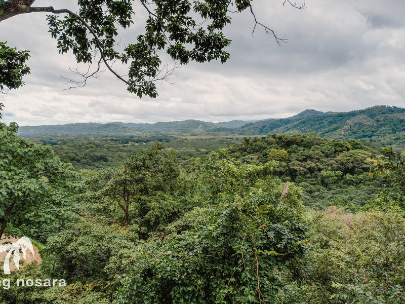 Property For Sale in Costa Rica Coldwell Banker Surfing Nosara